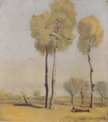 Spanish Landscape